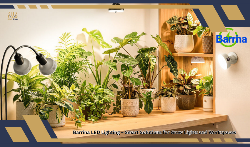 Barrina LED Lighting